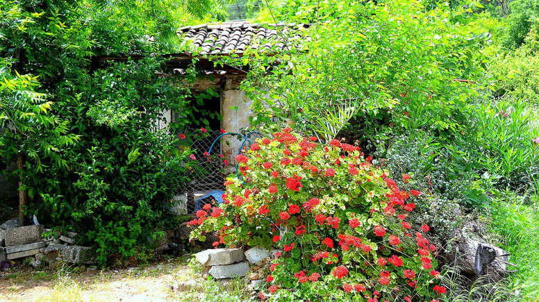 ALAYLI bir bahar masalı….