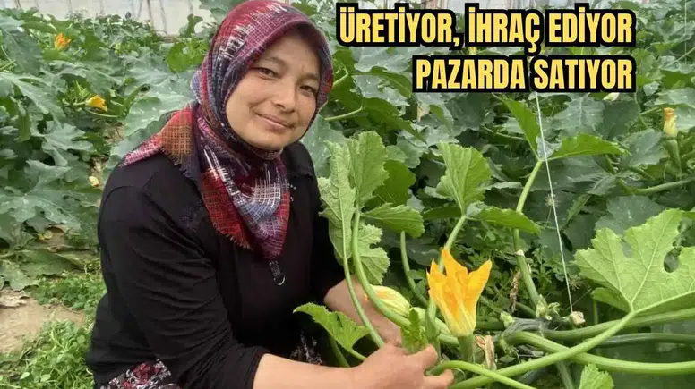 Aksu'da Üretip Dünyaya Satıyor!