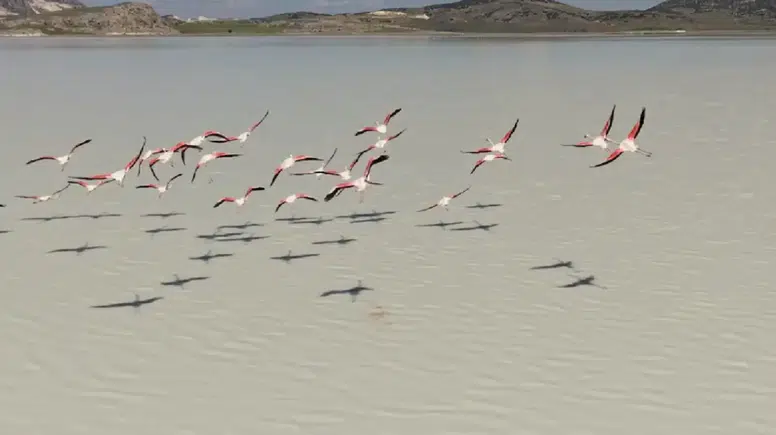 Burdur’un Kuruyan Yarışlı Gölü Canlandı: Flamingolar Geri Döndü