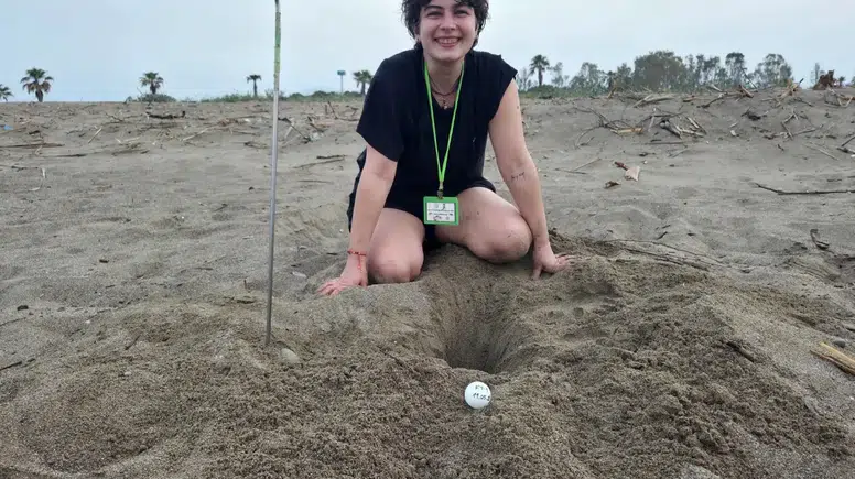 Belek'te 2026 Yılının İlk Caretta Caretta Yuvası Tespit Edildi