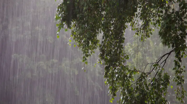 Adana'ya Sağanak Yağış Uyarısı! Meteoroloji 5 Günlük Raporu Yayınladı