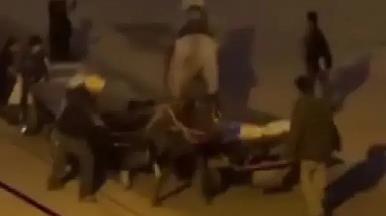 Adana’da Vicdanları Sızlatan Görüntüler: Atlar Dakikalarca Kırbaçlandı!
