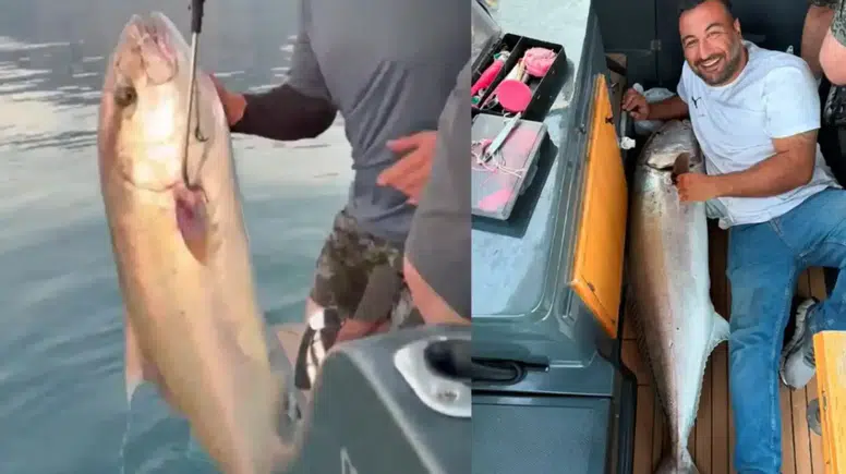 Konyaaltı’nda Kıyıya 75 Metre Mesafede Yakalandı, Kilosu Şaşırttı