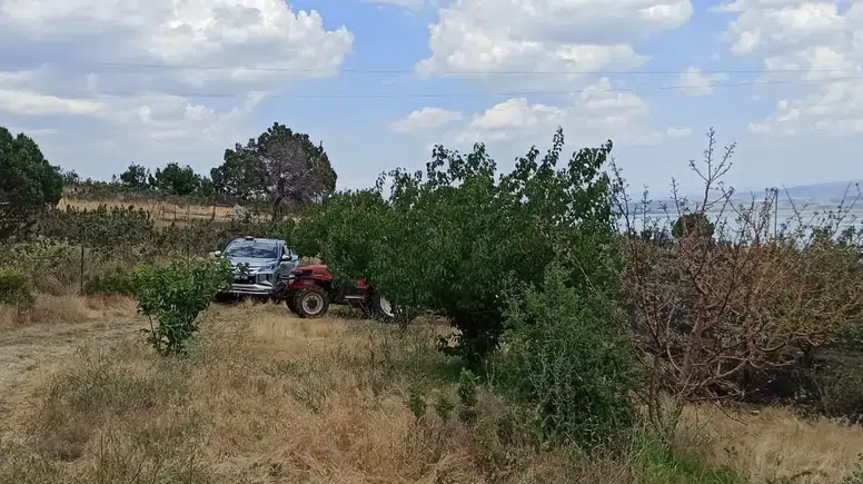Eğirdir'de Zirai Alanda Yangın: Ekipler Büyümeden Söndürdü