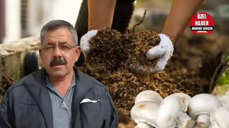 Korkuteli'nde Torf Krizi: "Burası Ölüdeniz Değil, Hayvancılık Köyü!"