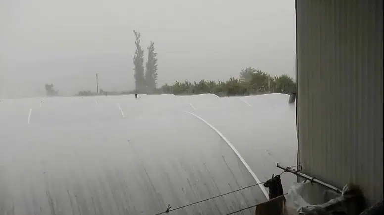 Kumluca’da Çiftçinin Emeği Delik Deşik Oldu! Fırtına ve Dolu Seraları Vurdu