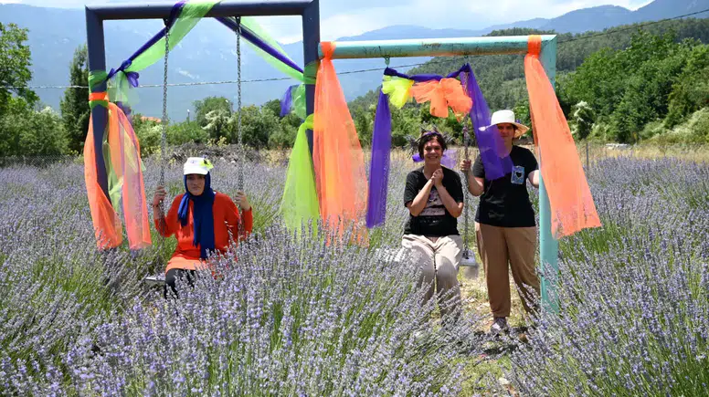 Kemer’in Lavanta Bahçesi Renklendi: Hasat Öncesi Hazırlık