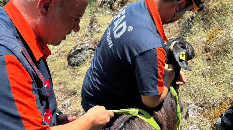Burdur'da Dağlık Alanda Mahsur Kalan Keçiler Ekiplerce Kurtarıldı