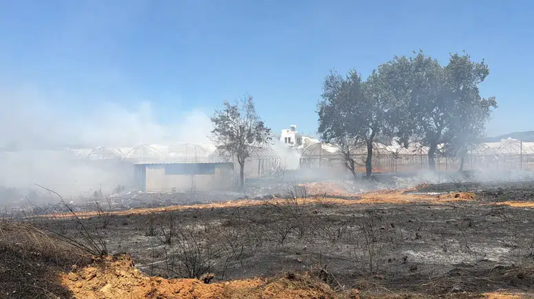Gazipaşa'da Sera Yangını! Alevler 7,5 Dekarlık Üretim Alanını Kül Etti