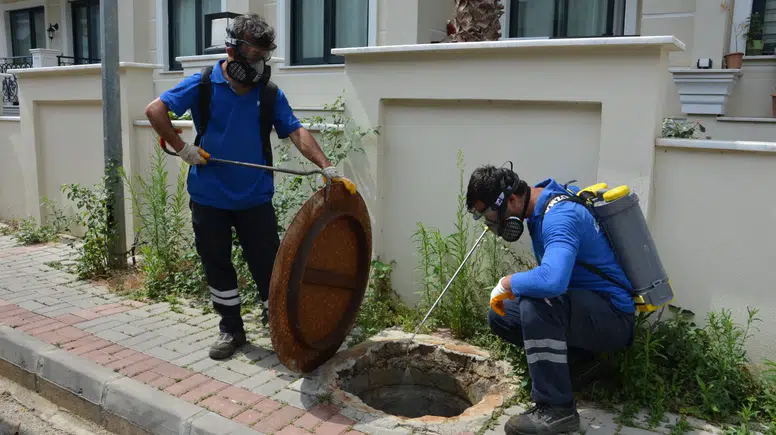 Antalya'da Sineklerle Balıklı Mücadele: Doğal Kalkan!