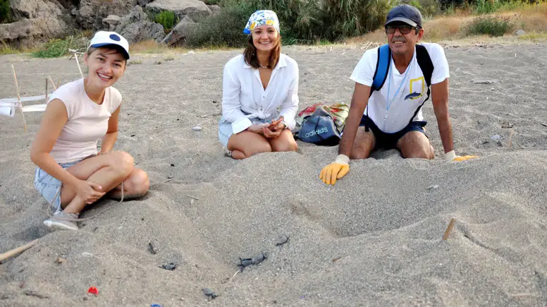Yürek Isıtan Seferberlik! Yabancılar Caretta Carettalar İçin Gönüllü Oldu
