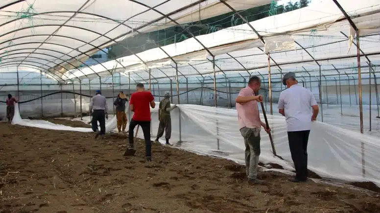 Kumluca'da İlaçsız Temizlik: 50 Bin Dönümde Solarizasyon