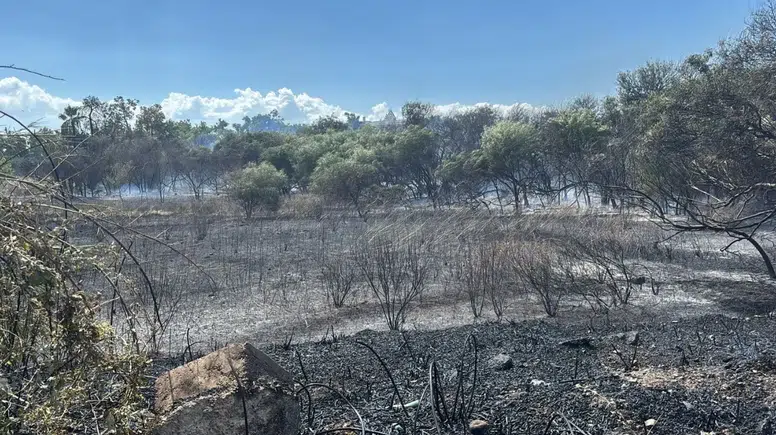 Manavgat Titreyengöl'de Sazlık Alanda Yangın: Alevler Oteller Bölgesine Yöneldi