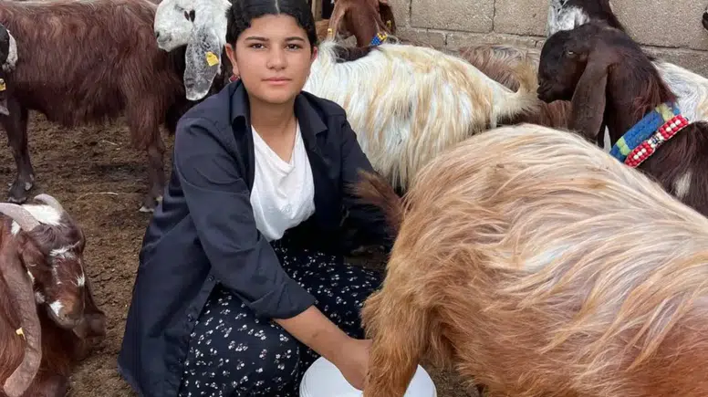 16 Yaşındaki Esmanur 5 Keçiyle Başladı, Sürüsünü 30’a Çıkardı!