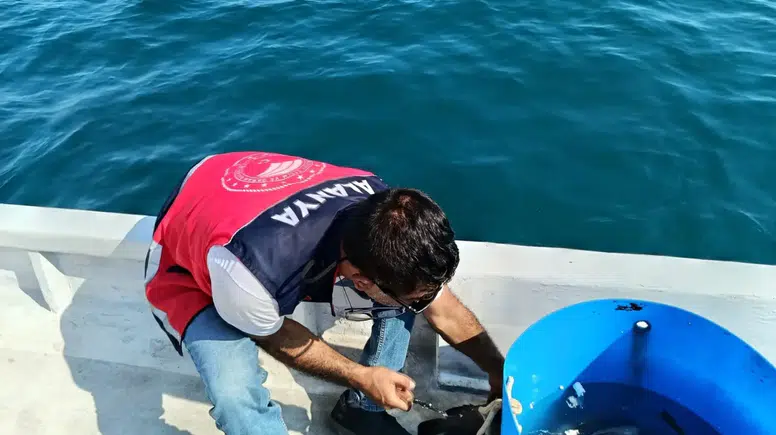 Antalya’da Mersin Balığı ve Alabalık Mercek Altında: Aksu’dan Alanya’ya Denetim!