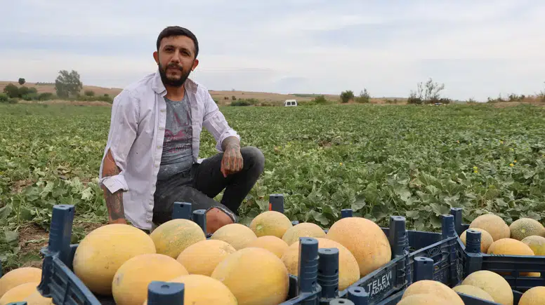 Tarlada 8 Pazarda 20 Lira: Adanalı Üretici Aracıyı Aradan Çıkardı!