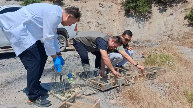 Kuş Sesi Tuzağıyla Yakalandılar! 175 Saka Kuşu Kurtarıldı, Kaçak Avcılara 2.2 Milyon TL Ceza