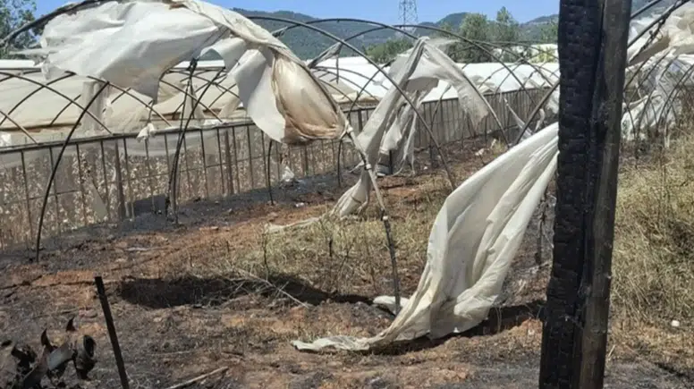 Gazipaşa’da Yangın Sonrası Saha Çalışması Başladı