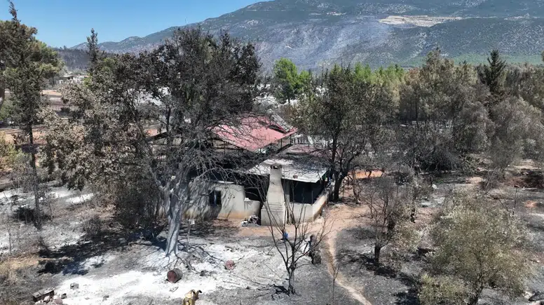 Kaş'ta Orman Yangını Çavdır ve Palamut Mahallelerini Vurdu!