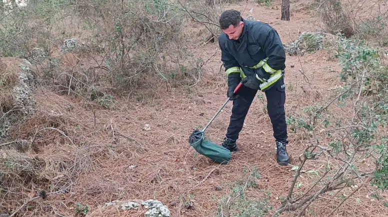 Manavgat'ta Merdiven Altından 2 Metrelik Kara Yılan Çıktı