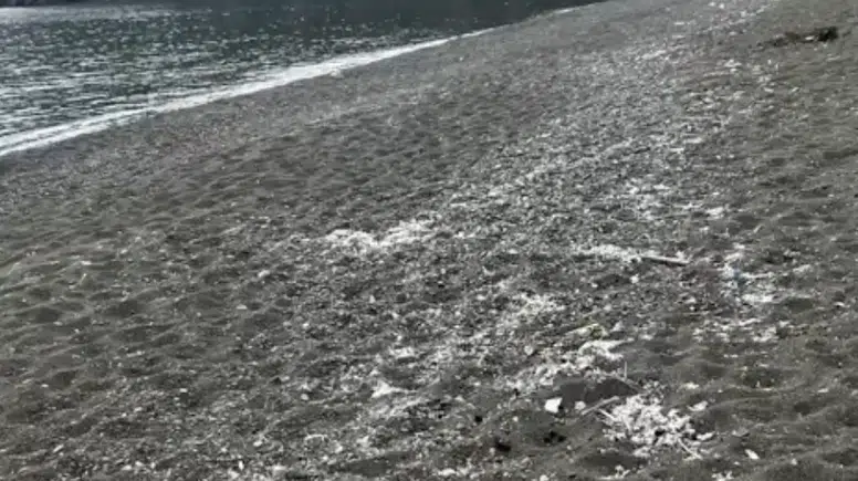 Kaş'tan Sonra Kemer Maden Koyu Mikroplastikle Kaplandı! Akdeniz'de Çevre Felaketi Büyüyor