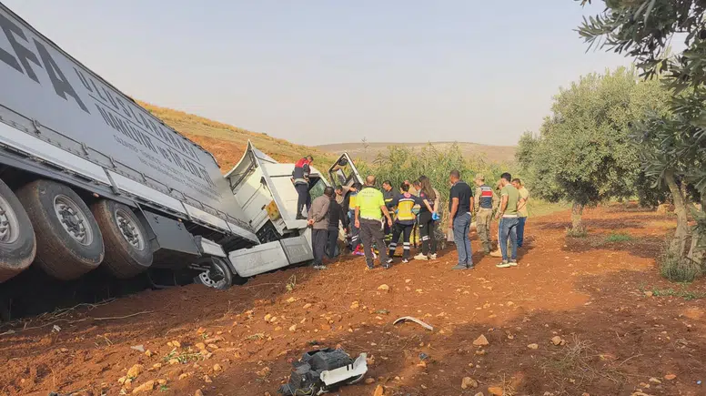 Hatay'da Kontrolden Çıkan TIR Zeytin Bahçesine Uçtu: 1 Yaralı