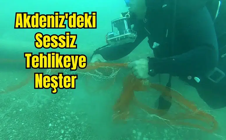 Hayalet Ağlar Temizlendi, 1.5 Milyon Canlı Kurtuldu