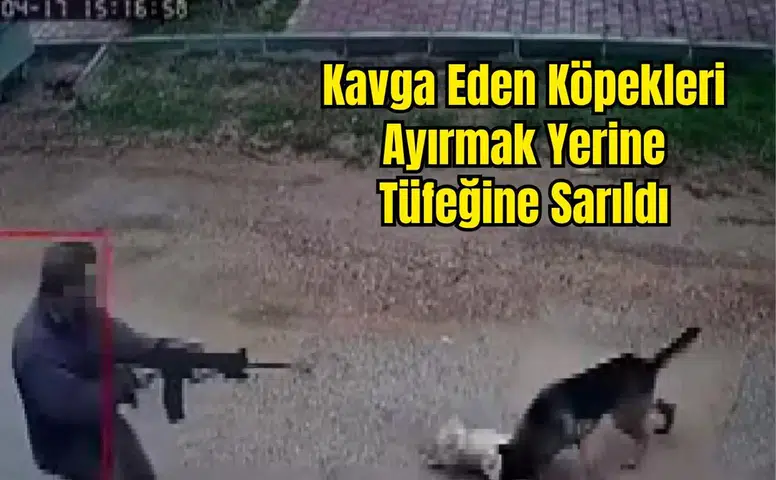 Kepez Duacı'da Sokak Köpeğini Pompalı Tüfekle Öldürdü
