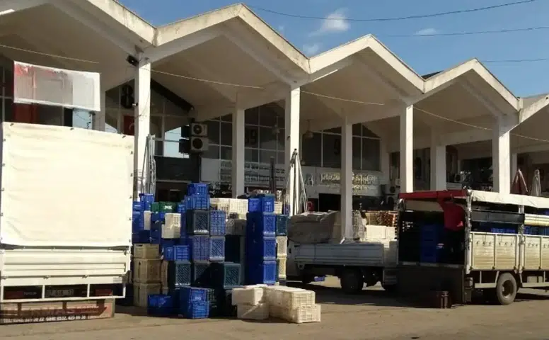 Antalya Büyükşehir Toptancı Hali'nde 22 İş Yerini İhaleye Çıkardı