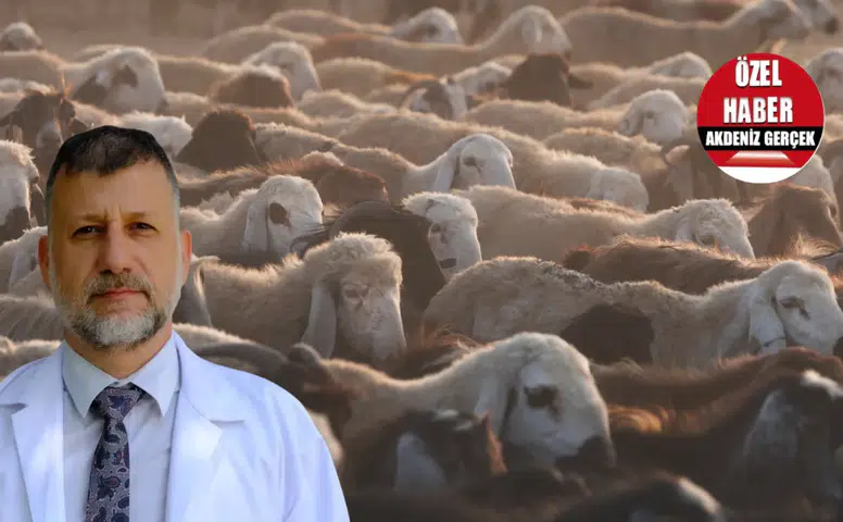 Kurban Öncesi Karabayoğlu'ndan Net Uyarı: "Kayıt Dışı Hayvandan Kaçının"