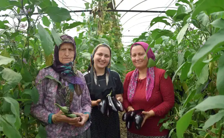 Aksu’da 45 Derecede Üç Kuşak Kadın Üretici Sofralar İçin Ter Döküyor
