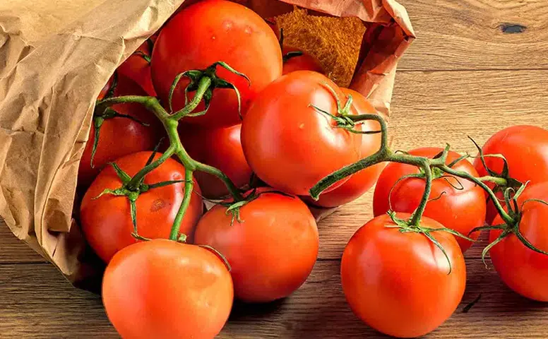 Antalya'da Domates Krizi! Domates 100 TL'yi Gördü, Sektör Alarm Verdi!