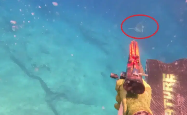 Kumluca Açıklarında Köpek Balığıyla Burun Buruna Geldi
