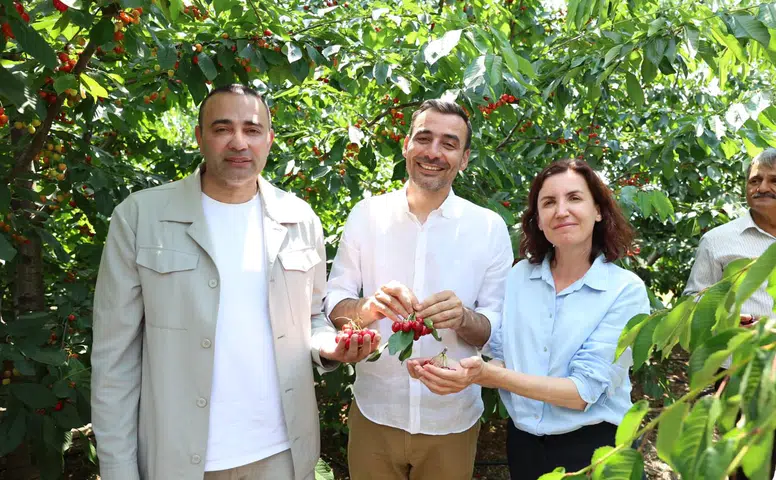 Manavgat’ta Kiraz Şenliği Coşkusu! CHP Heyeti Dalından Hasat Yaptı!