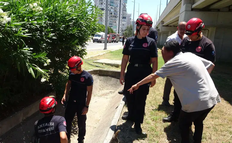 "Annem Babam İçine Düştü" Dedi, Gerçek Bambaşka Çıktı!