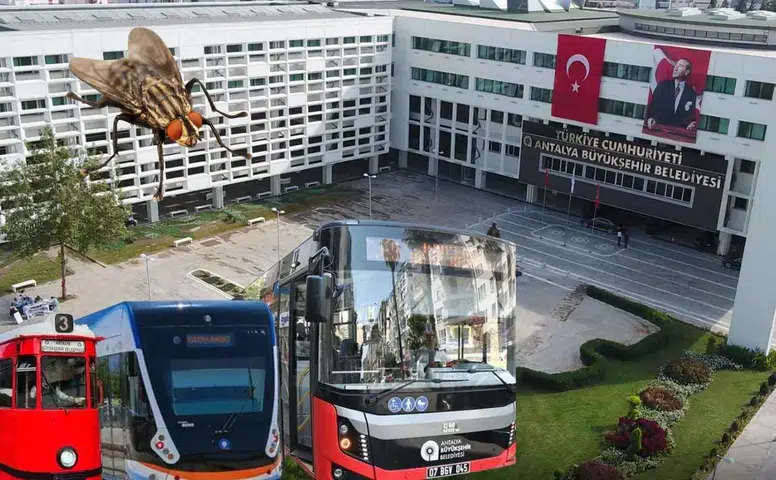 Antalya Büyükşehir Meclisi'nde AK Parti'den Ulaşım ve Sinek Çıkışı