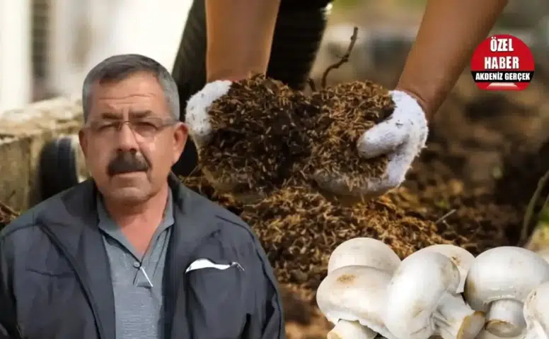 Korkuteli'nde Torf Krizi: "Burası Ölüdeniz Değil, Hayvancılık Köyü!"