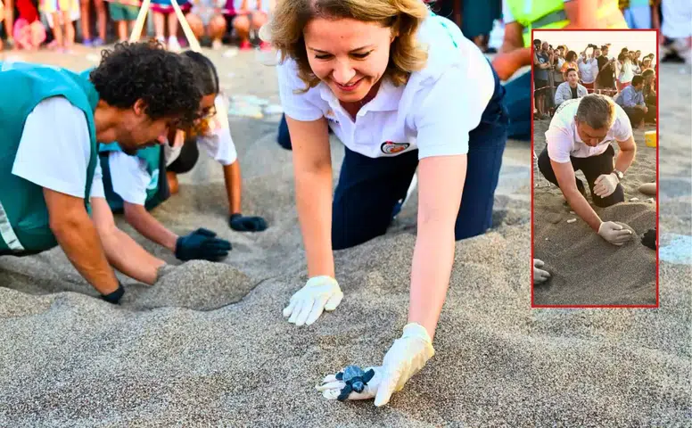 Çıralı’da Caretta Caretta Yavruları Güvenle Denize Ulaştı