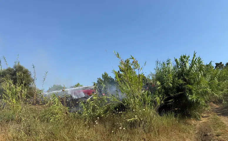 Manavgat’ta Korku Dolu Saatler! Alevler Ormana Ulaşmadan Durduruldu!