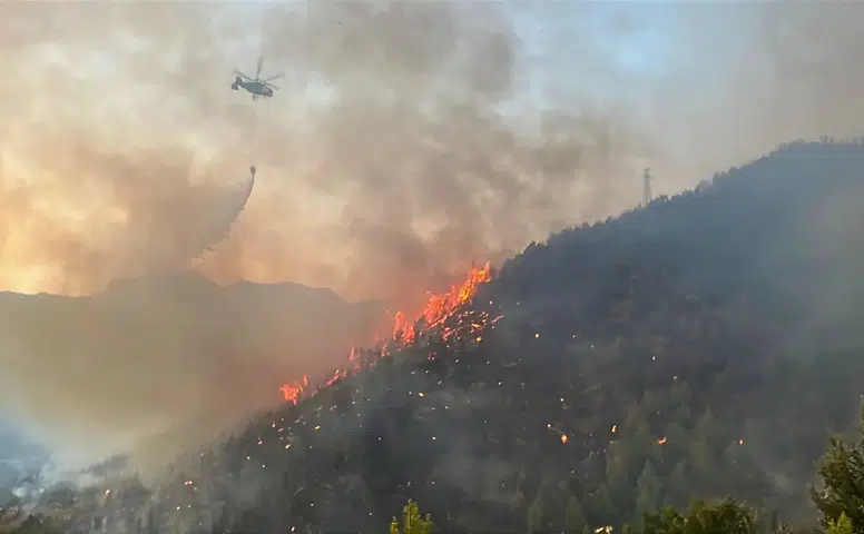 Antalya Dahil 25 İlde 73 Orman Yangını: 12 Şüpheli Tutuklandı