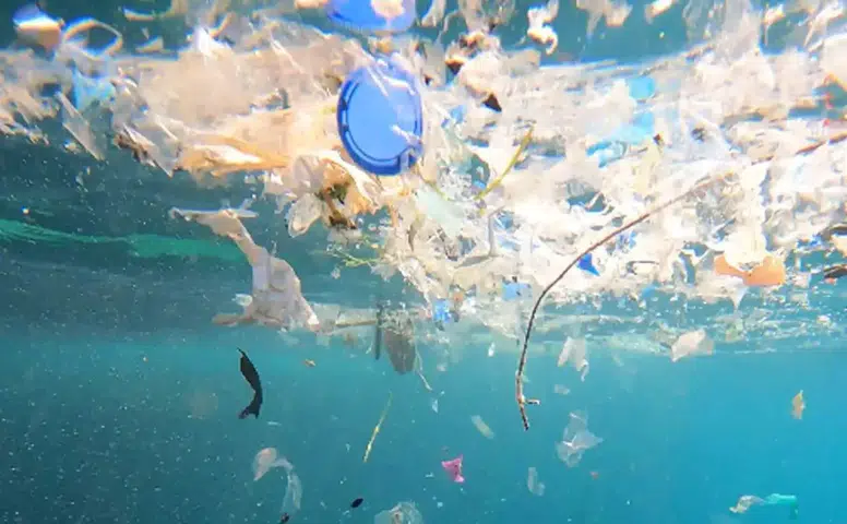 Sahilleri Boğan Plastik Atık Krizi İçin Antalya'da Acil Koordinasyon Toplantısı
