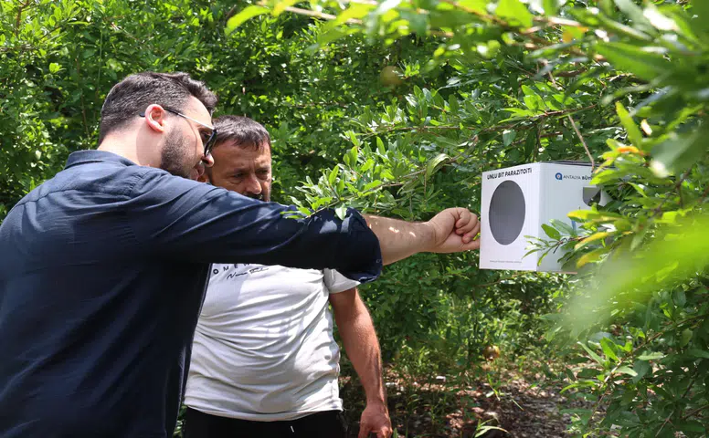 Tarımda Kimyasal Dönem Kapanıyor Antalyalı Üreticiye Faydalı Böcek Desteği
