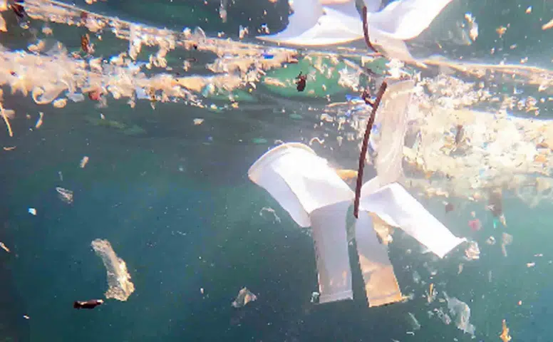KETAV'dan Mikroplastik Uyarısı: Turizm Sekteye Uğrar