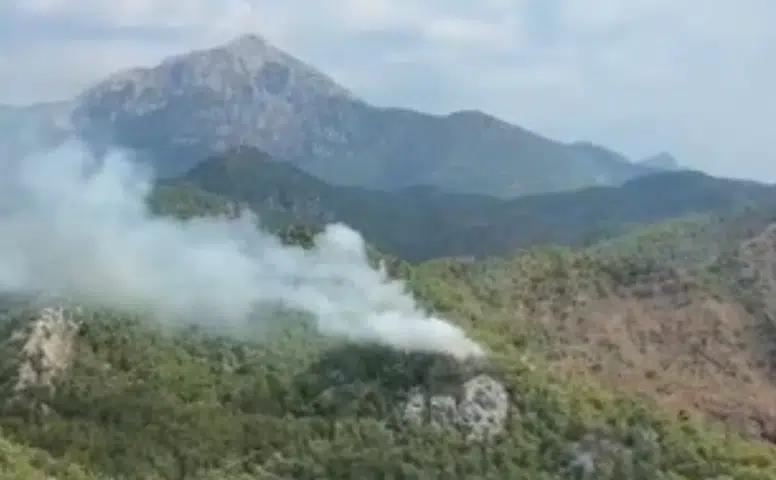 Kemer Çıralı'da Orman Yangını