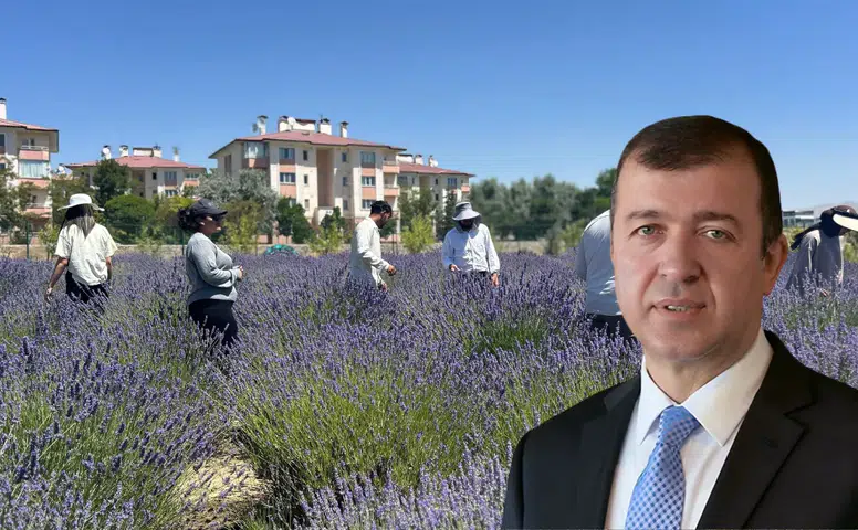 Antalya'da Aromatik Bitki Rekoltesi Yağışlarla Yüzde 40 Arttı