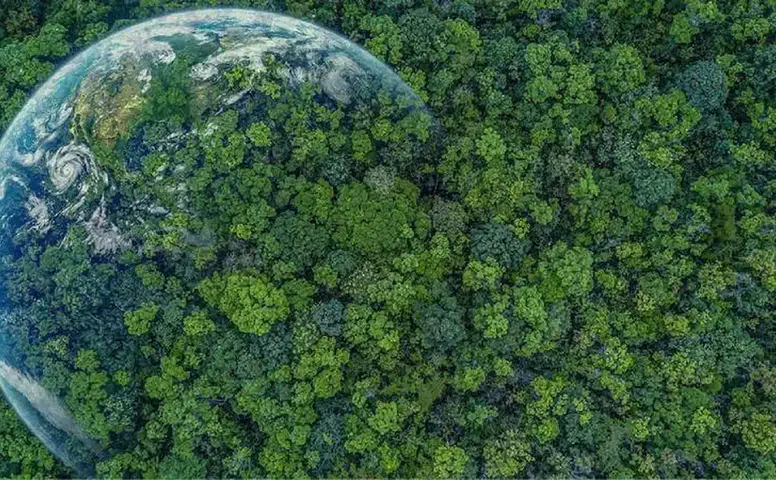 COP31 Öncesi İlk Hamle Kumluca'dan!