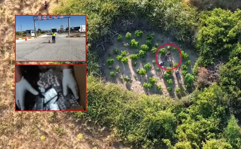 Antalya ve 27 İlde Tonlarca Uyuşturucu ve Milyonlarca Kenevir İmha Edildi