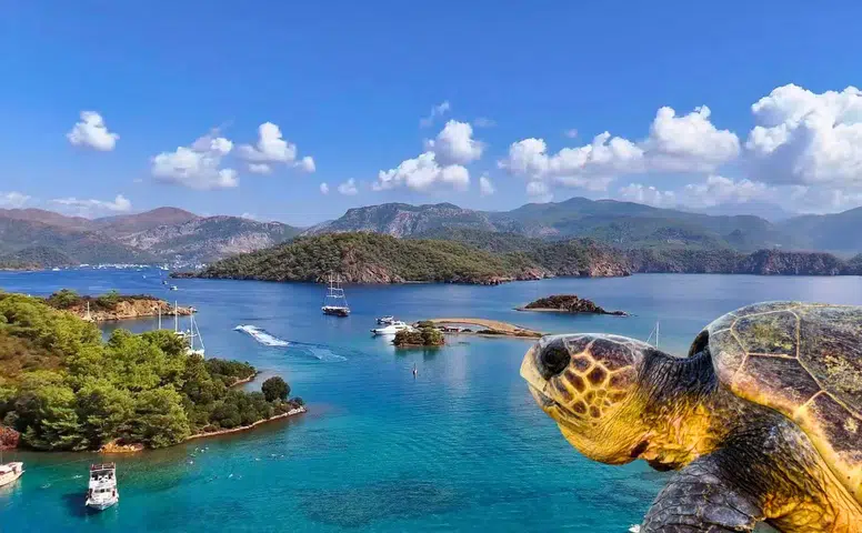 Fethiye-Kaş Deniz Milli Parkı: Deniz Ekosisteminde Yeni Dönem Başlıyor