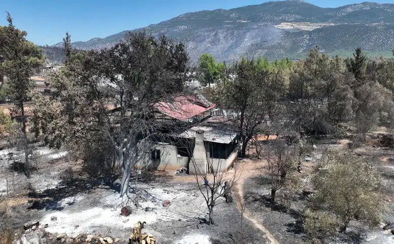 Kaş'ta Orman Yangını Çavdır ve Palamut Mahallelerini Vurdu!