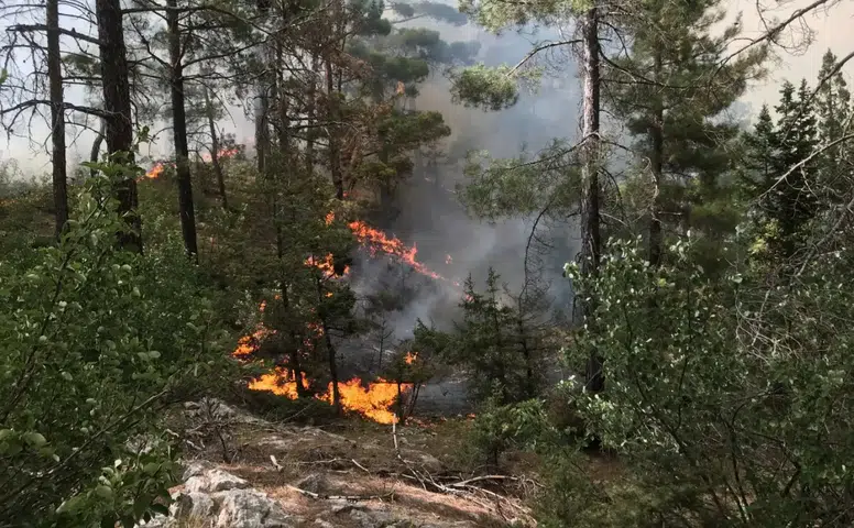 Akseki’deki Orman Yangını Kontrol Altına Alındı
